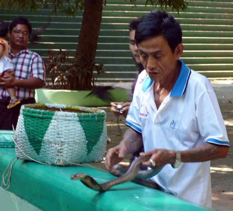 Burma III-030-Seib-2014.jpg - ditto (Photo by Roland Seib)